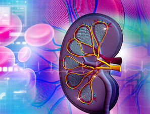 Bild zu CEDA/FID - Peripheral sensory and cardiovascular autonomic dysfunction