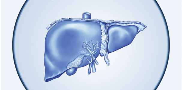 Bild zu Fettleber - Erhöhte Fettverbrennung ruft „Stress“ in der Leber hervor und kann Fettleberentzündung bewirken