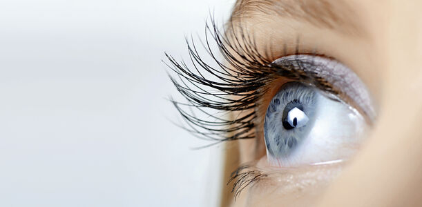 Bild zu Diabetes und Augenerkrankungen