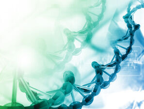 Bild zu Menarini Projektförderung 2021 - Fördert Mangan-Mangel Typ-2-Diabetes?