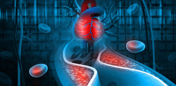 Bild zu Wechselwirkung - Herz-Chirurgie und kardiologische Reha