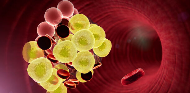 Bild zu Neue Waffe gegen Diabetes? - Aus Nierenzellen werden insulinproduzierende Betazellen