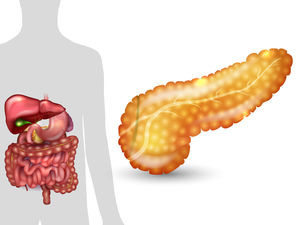 Bild zu BVKD - Transplantation von autologen Inselzellen