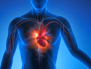 Bild zu Lipidomik - Neue Biomarker für Gefäßerkrankungen und Typ-2-Diabetes