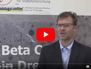 Bild zu Interview - Was gibt es Neues aus der Betazell-Forschung?