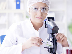 Bild zu Typ-2-Diabetes - Elevated CD163 Expression on CD14++CD16+ Monocytes