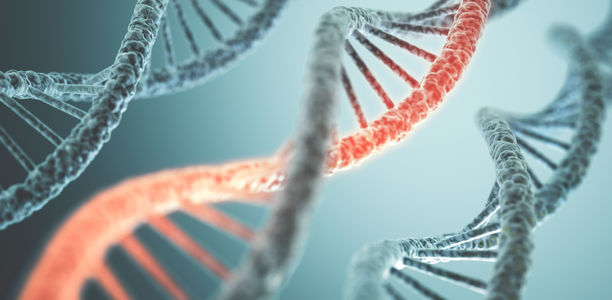 Bild zu Typ-1-Diabetes - Abschätzung des genetischen Risikos verbessert