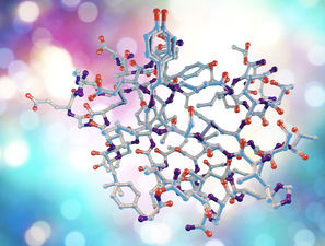Bild zu Früherkennung - Erhöhtes intaktes Proinsulin als früher Hinweis auf Typ 2