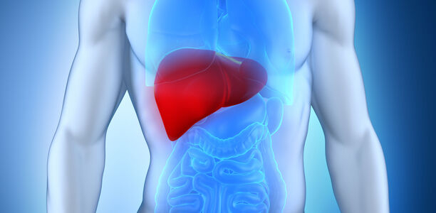 Bild zu Aufklärung - Infoportal zur Volkskrankheit Fettleber geht online