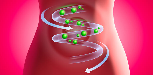 Bild zu Diabetes und Metab. Syndrom - „Im Anfang war die Darmflora ... “