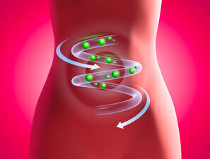 Bild zu Diabetes und Metab. Syndrom - „Im Anfang war die Darmflora ... “