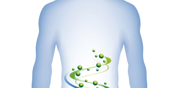 Bild zu Darmbakterien bei Typ-2-Diabetes - Übergewicht und Medikamente verändern Darmmikrobiom