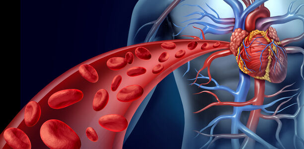 Bild zu Schwerpunkt „Herz und Gefäße“ - Die postoperative kognitive Dysfunktion