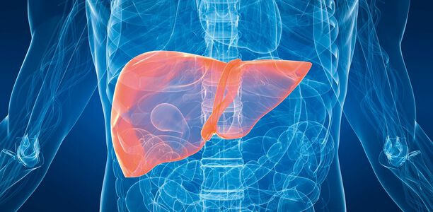 Bild zu Insulinresistenz - Welcher Mechanismus führt zur Insulinresistenz?