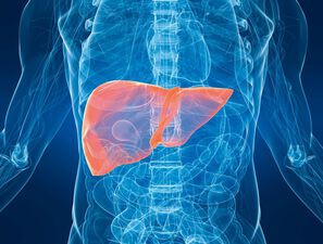 Bild zu Insulinresistenz - Welcher Mechanismus führt zur Insulinresistenz?