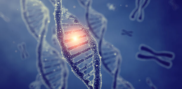 Bild zu Typ-2-Diabetes - Epigenetische Veränderungen gehen Ausbruch voraus