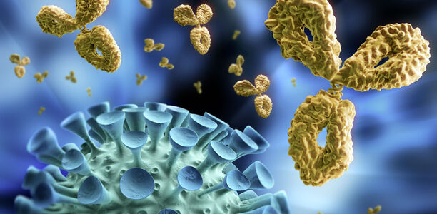 Bild zu Bis zu 65.000 Blutproben - Fr1da-plus-Studie: nun auch Tests auf SARS-CoV-2-Antikörper