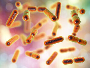 Bild zu Darmbakterien - Diabetes und Mikrobiom