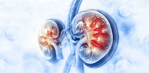 Bild zu Typ-2-Diabetes und Niereninsuffizienz - Die Pulsatile Insulin Infusionstherapie: Behandlungsoption zur Verzögerung der Dialyse bei Patienten mit Typ-2-Diabetes und Niereninsuffizienz im Stadium III 