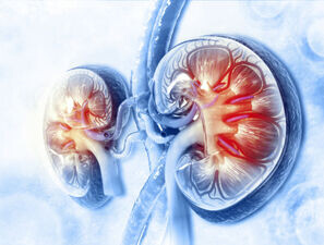 Bild zu Typ-2-Diabetes und Niereninsuffizienz - Pulsatile Insulin Infusionstherapie als Behandlungsoption