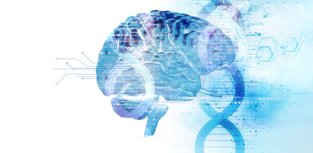 Bild zu Typ-2-Diabetes - Schutzmechanismus vor Insulinresistenz im Gehirn entdeckt