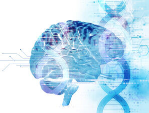 Bild zu Typ-2-Diabetes - Schutzmechanismus vor Insulinresistenz im Gehirn entdeckt