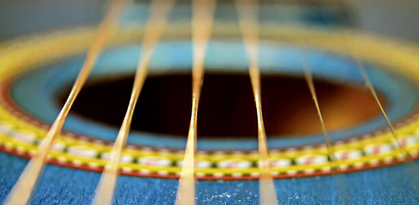 Bild zu Mikrobiom - Darm-Bakterien: Da fehlt der Rhythmus