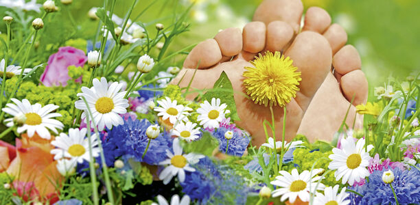 Bild zu Diabetisches Fußsyndrom - Patienten mit DFS im regionalen Netz versorgen