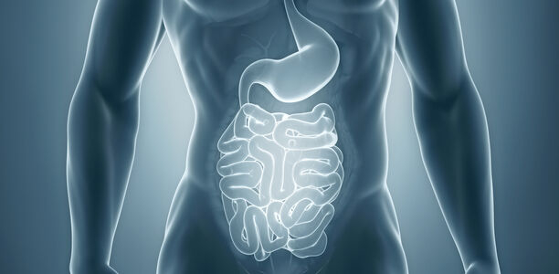 Bild zu Bewertungen - Invasiv gegen Insulinresistenz