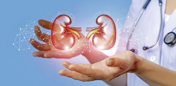 Bild zu Chronische Nierenerkrankung - Neuer Wirkstoff beeinflusst Sterblichkeit bei chronischer Nierenerkrankung und Typ-2-Diabetes