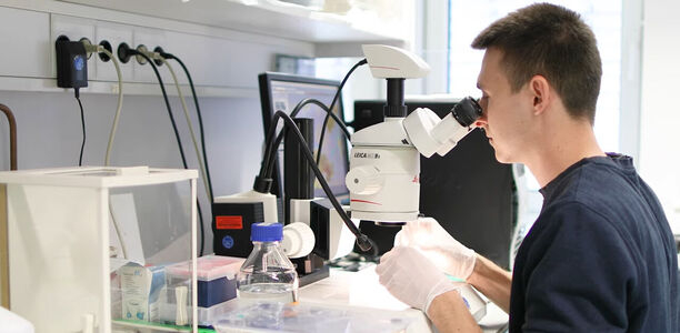 Bild zu Forschung - Neue Ursache zur Entstehung des Diabetes entdeckt