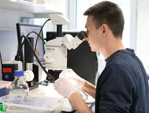 Bild zu Forschung - Neue Ursache zur Entstehung des Diabetes entdeckt