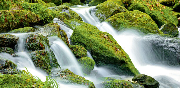 Bild zu Typ-1-Diabetes - Konsenspapier: Aus einer Quelle