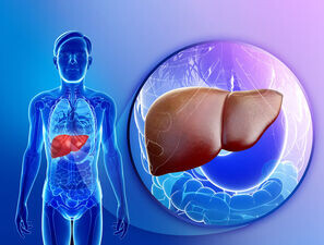 Bild zu Schwerpunkt „Gastrointestinaltrakt“ - Fettleber und Diabetes