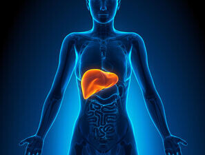 Bild zu Schwerpunkt „Gastrointestinaltrakt“ - Bessere Versorgung bei Lebererkrankungen 