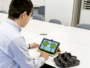 Bild zu Neuropathie - Spielen für die Diabetesforschung