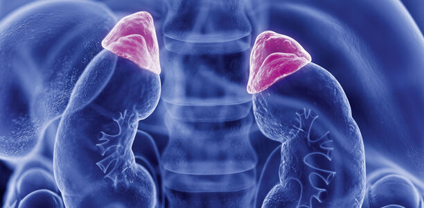 Bild zu Nebennierentumore - Kortisolausschüttung beeinflusst Sterblichkeit