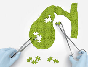 Bild zu Inkretine - Genau auf die Galle schauen