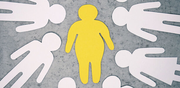 Bild zu Stoffwechsel - Leptin-Insulin-Interaktion im Gehirn