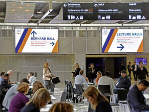 Bild zu Inkretine - Noch bessere Effekte