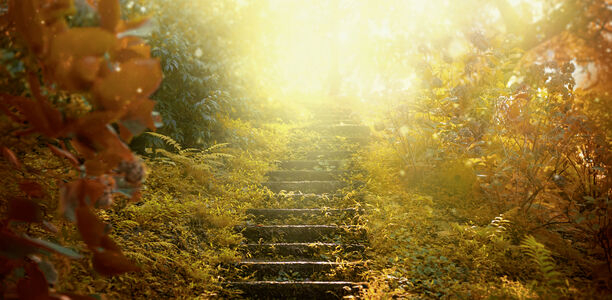 Bild zu Typ-1-Diabetes - Ersehnter Meilenstein