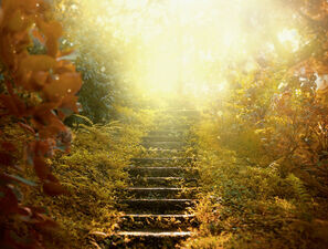 Bild zu Typ-1-Diabetes - Ersehnter Meilenstein