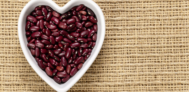 Bild zu Evidenz - Was schmeckt der Niere?