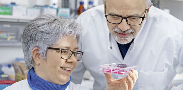 Bild zu Grundlagenforschung - Forschung am Drehkreuz