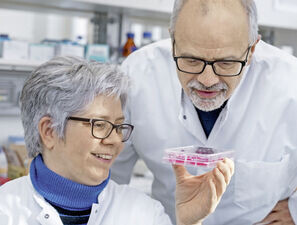 Bild zu Grundlagenforschung - Forschung am Drehkreuz