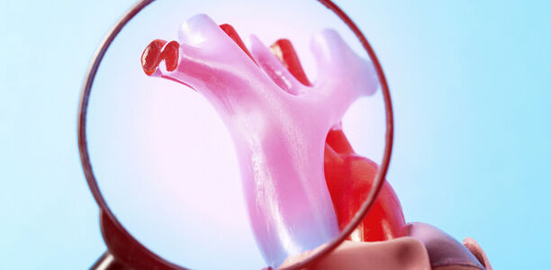 Bild zu Empfehlungen zur Diagnose und Therapie der HFpEF - Fokussiertes Update 2023 der ESC-Leitlinien zur Herzinsuffizienz