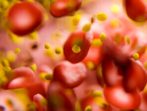 Bild zu Fortbildung - Diabetes und Fettstoffwechselstörungen