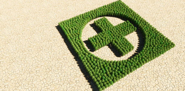 Bild zu Schwerpunkt "Green Diabetes" - Die AG Diabetes, Umwelt & Klima stellt sich vor