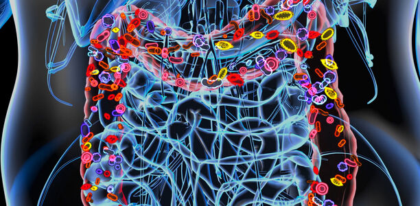 Bild zu Ernährung - Zusammenhänge zwischen Diabetes und Mikrobiom