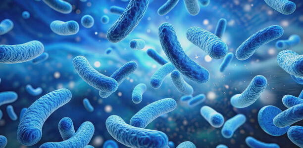 Bild zu Pilotstudie - Einfluss eines probiotischen Nahrungsergänzungsmittels auf Biomarker des Metabolischen Syndroms bei Typ-2-Diabetes